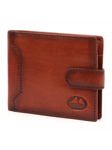 EL FORREST 817-29 RFID brązowy