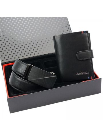 Pierre Cardin ZG-207-BA 120