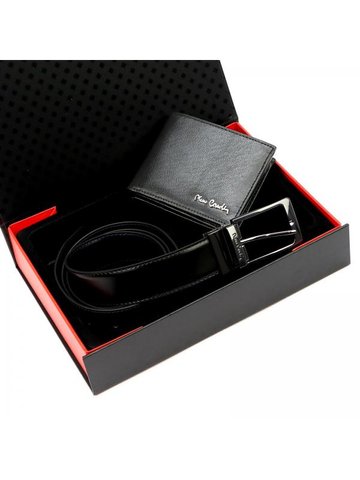 Pierre Cardin ZG-213-BR 120