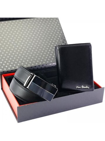 Pierre Cardin ZG-212-BA 120